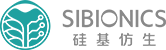 硅基仿生