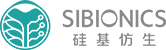 硅基仿生